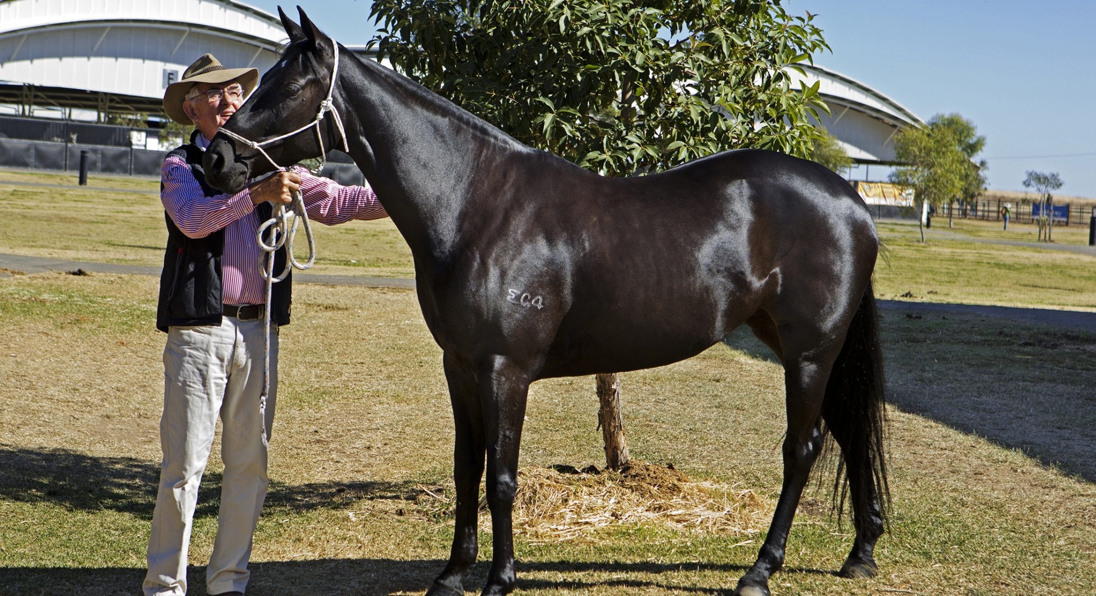 20130507_0574-2a_web 20130507_0574-2a_web