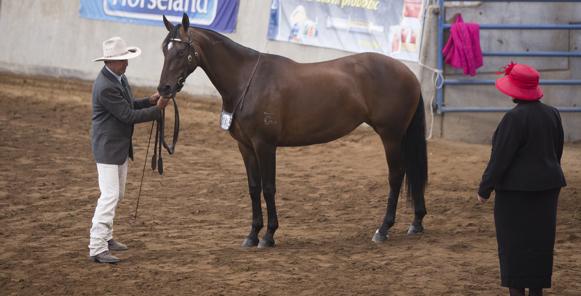 Bullseye Anna Rose Bullseye Anna Rose