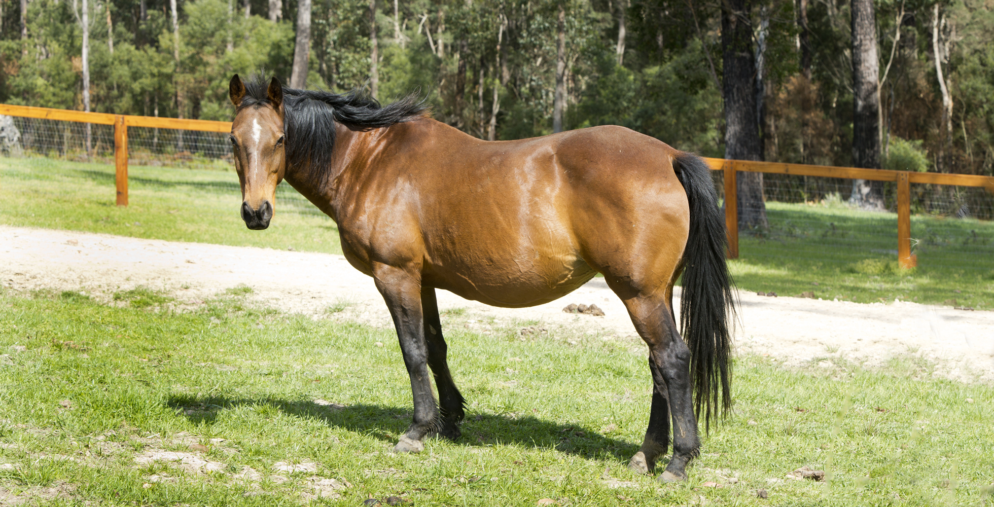 20141006_0058a-juliette1960x1000 20141006_0058a-juliette1960x1000