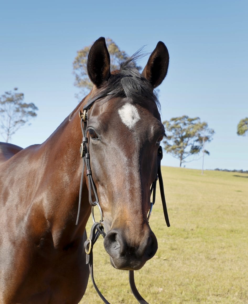 Bullseye Anna Rose Bullseye Anna Rose