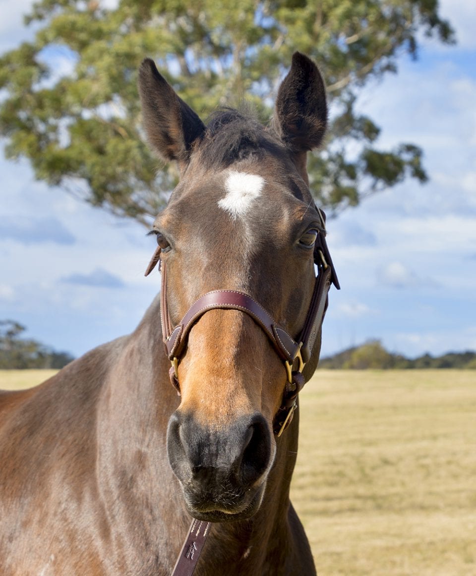 20160722_0202clairacrop 20160722_0202clairacrop