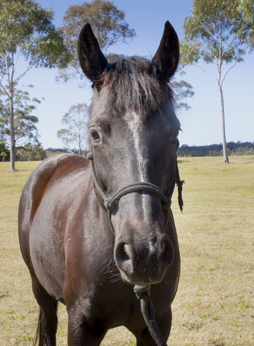 20160904_0408parisacrop 20160904_0408parisacrop