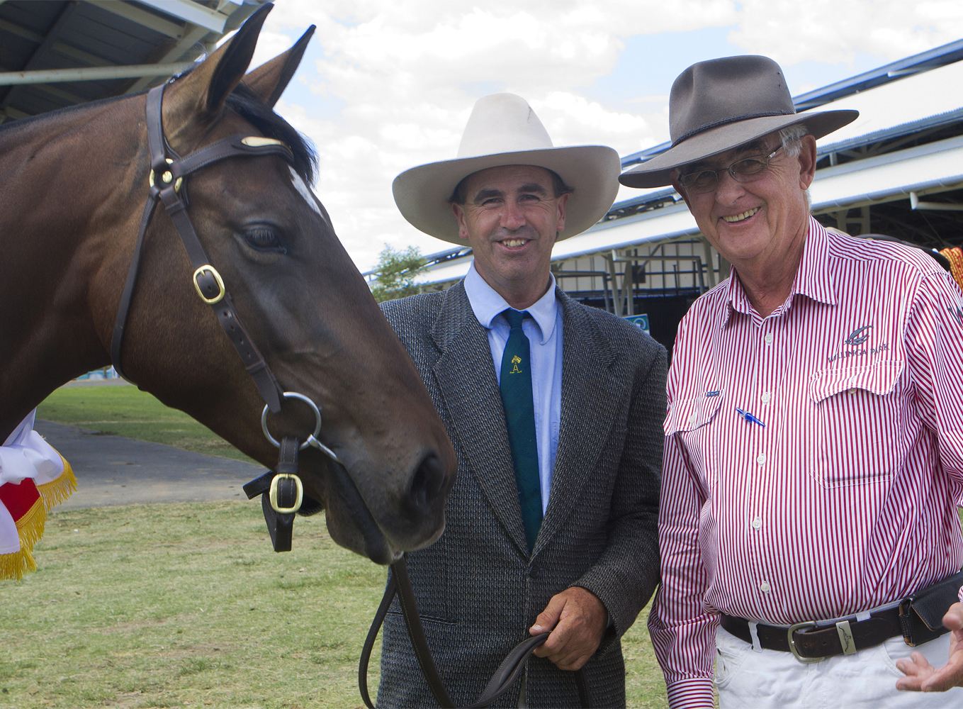 annarose3-100hpix_crop annarose3-100hpix_crop