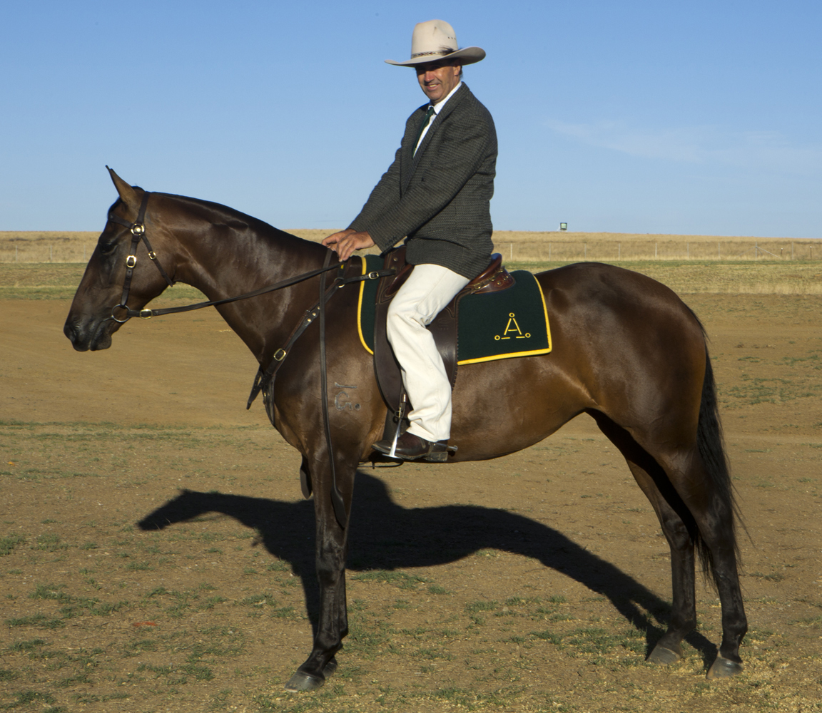 annaroseb-wide-1000hpix_crop annaroseb-wide-1000hpix_crop