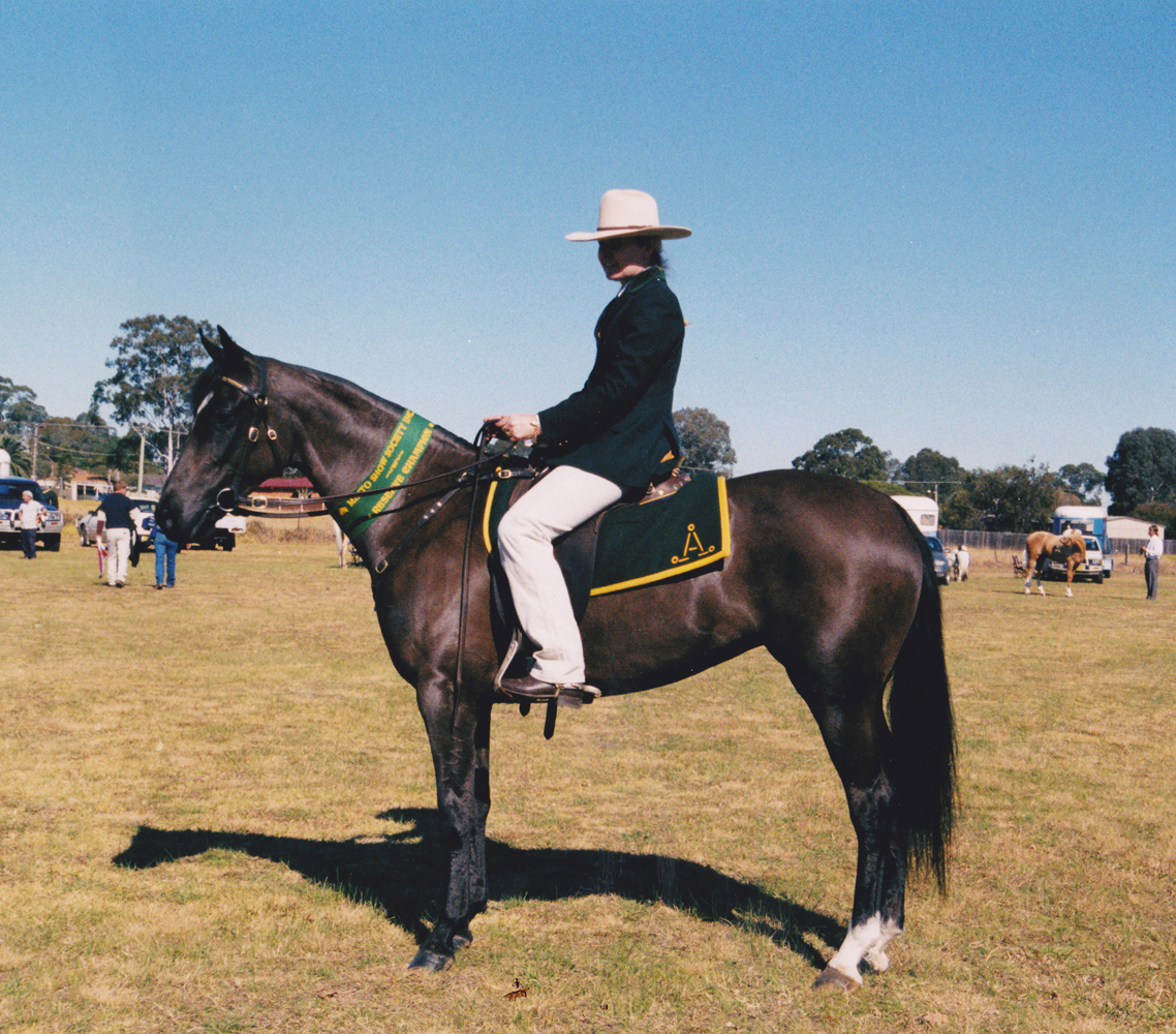 silhouette-d_crop silhouette-d_crop