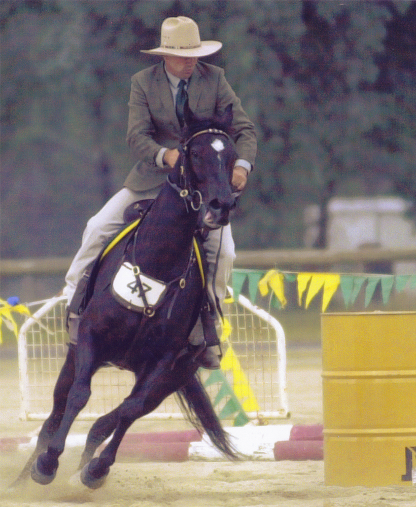 silhouette-d_crop2 silhouette-d_crop2