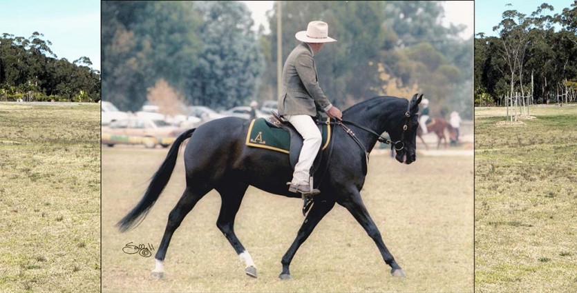 Silhouette1000Hpix-835x425 Silhouette1000Hpix-835x425