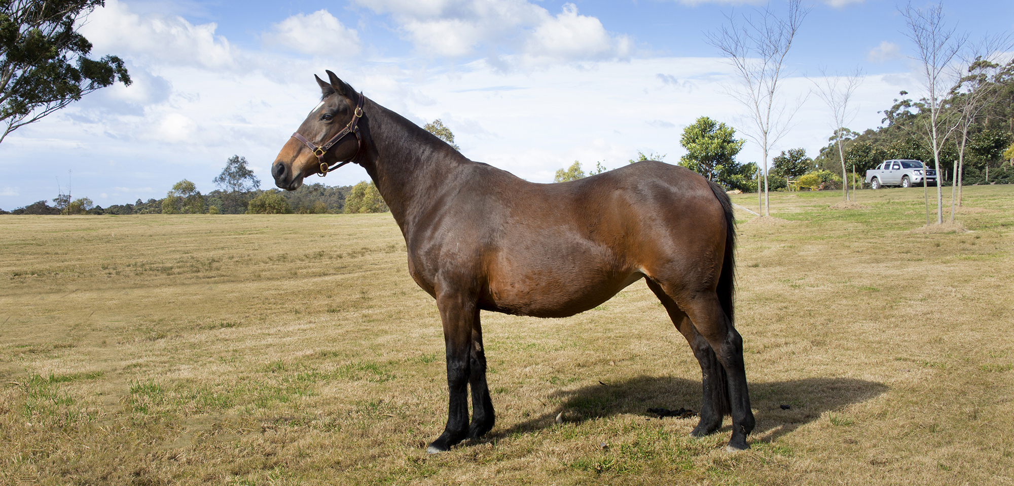 claire-web claire-web