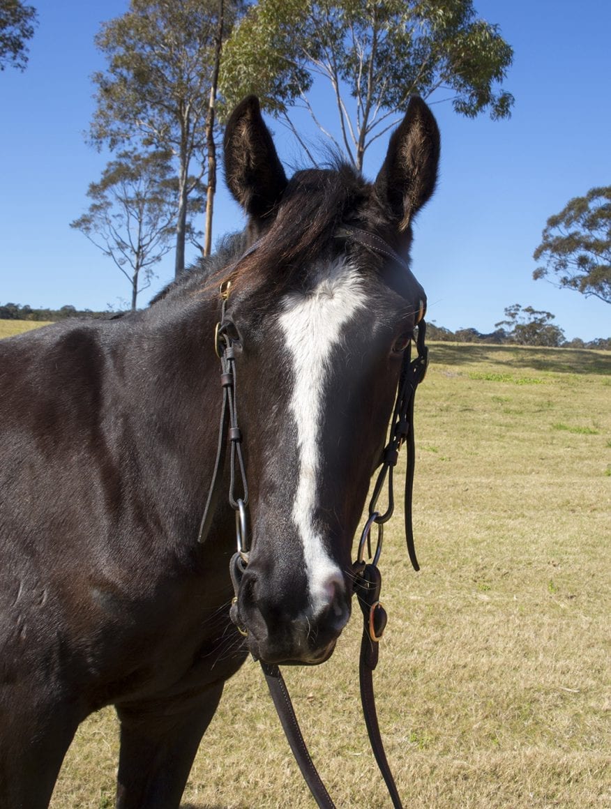 20160904_0373angela 20160904_0373angela