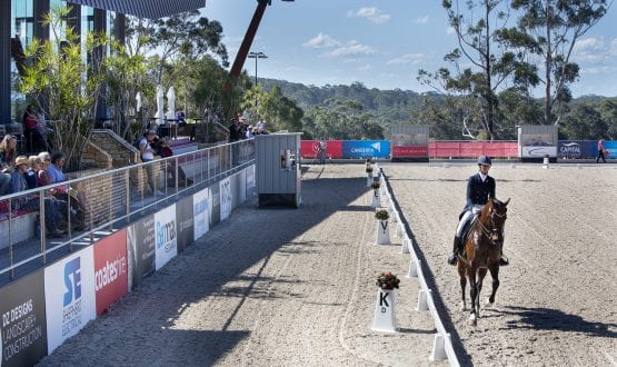 Grand Prix Arena Grand Prix Arena