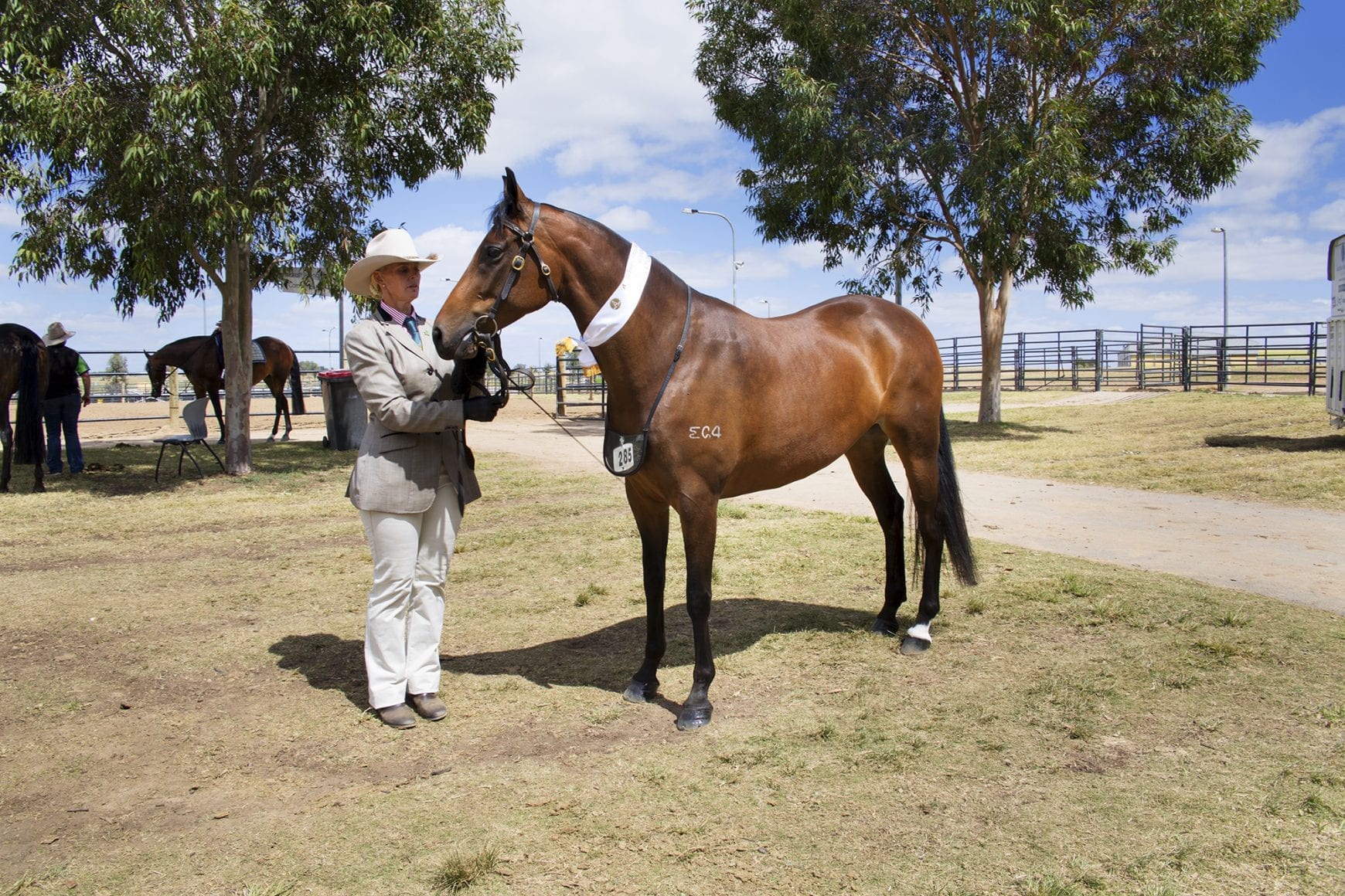 Woman standing next to a horse at stock horse nationals Woman standing next to a horse at stock horse nationals