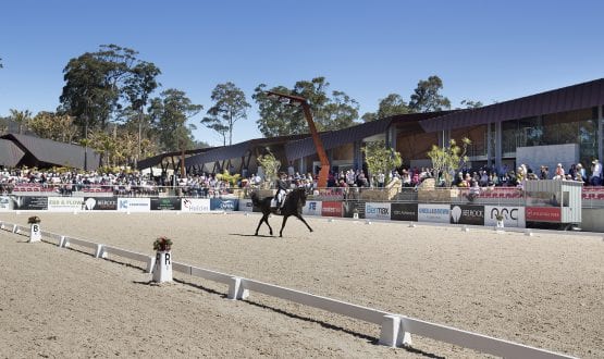 Outdoor Arena Outdoor Arena