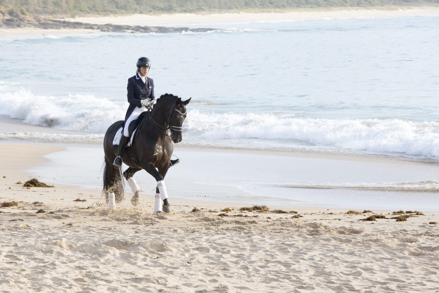 Dressage by the Sea Dressage by the Sea