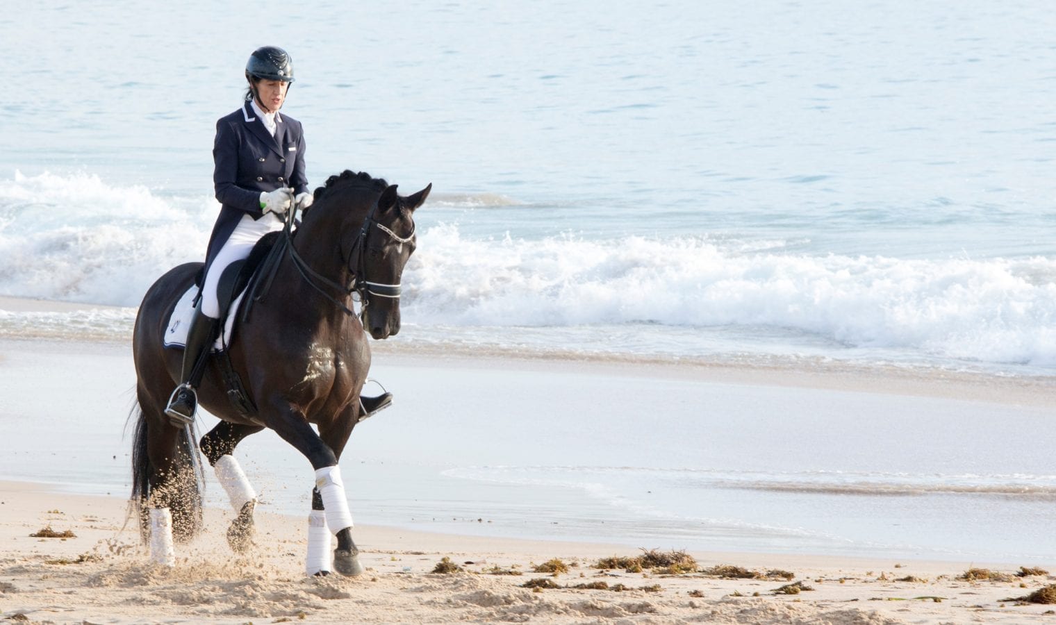 Dressage by the Sea Dressage by the Sea