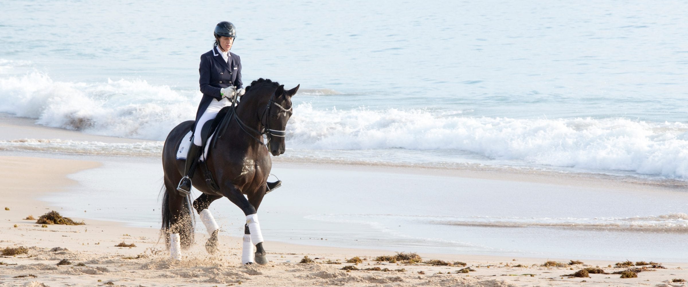 Dressage by the Sea Dressage by the Sea
