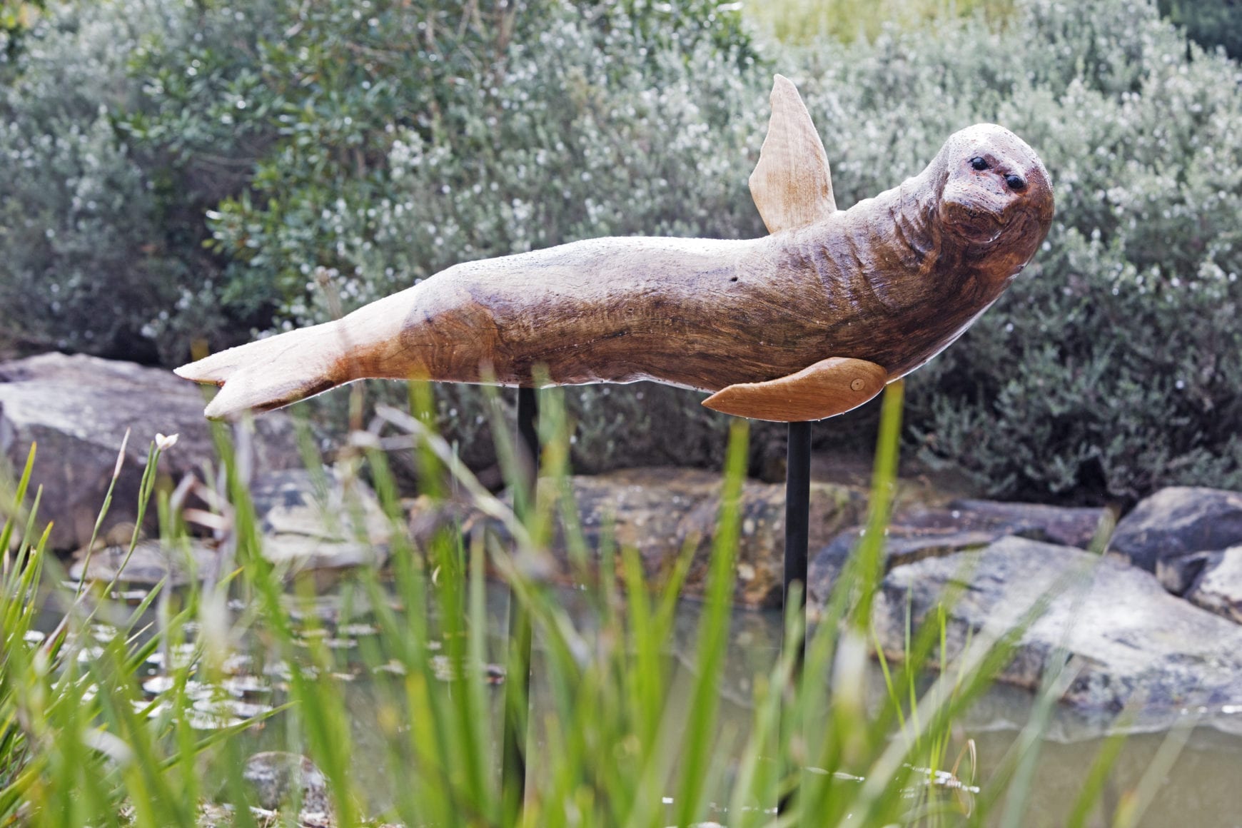 12 20180824_0138 12a 12 20180824_0138 12a