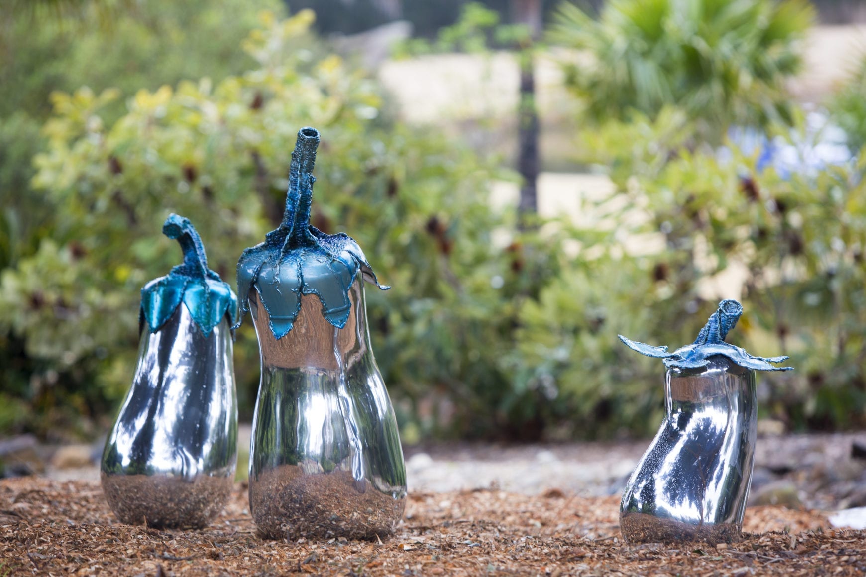 36 20180824_0163 36a 36 20180824_0163 36a