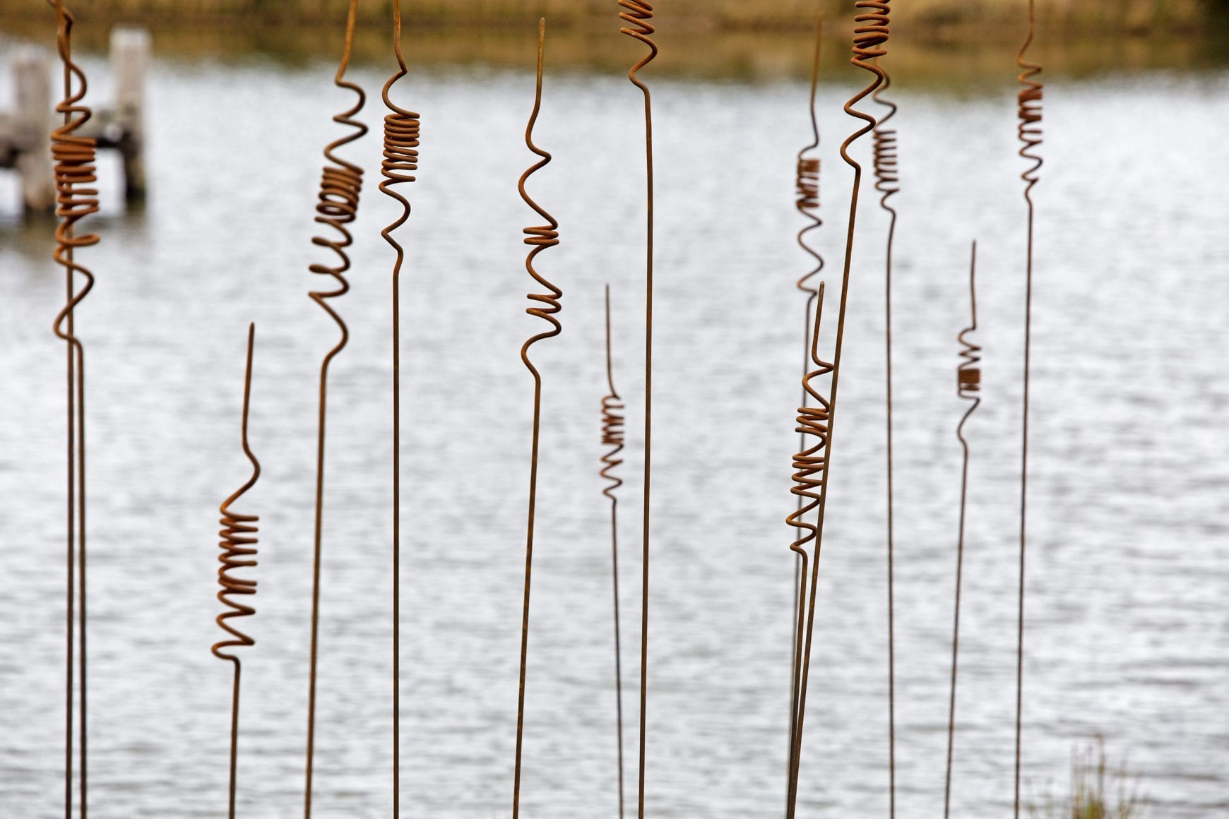 39 20180824_0485 39a 39 20180824_0485 39a