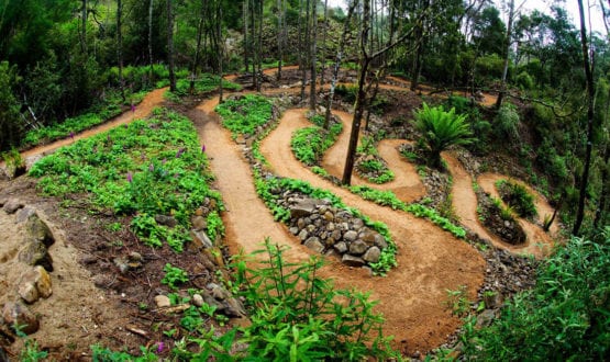 Blue-Derby-1 (1) Blue-Derby-1 (1)