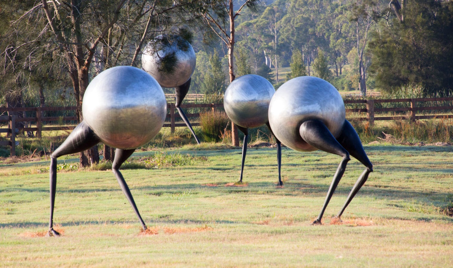 Wanderers by Brad Jackson