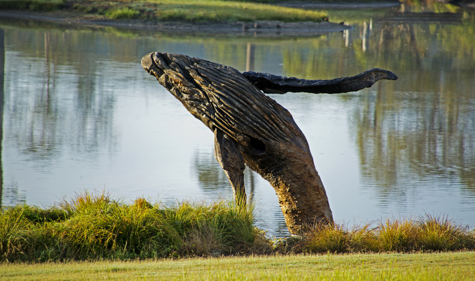 Breaching by Michael Greve