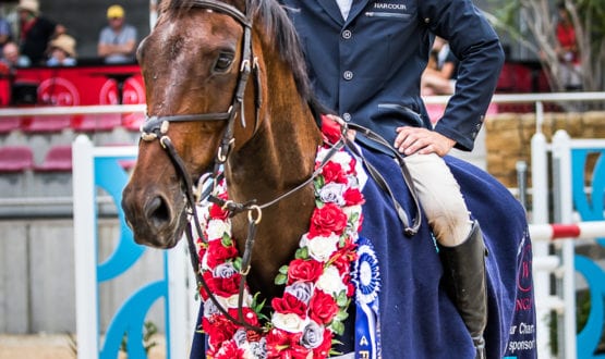 WPS81013-Cale Rushton and 'Kirmington Casper' win the final in a time of 35.110 secs WPS81013-Cale Rushton and 'Kirmington Casper' win the final in a time of 35.110 secs