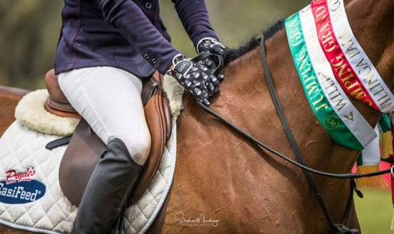 WPS86739-Vicki Roycroft's riding gloves !! WPS86739-Vicki Roycroft's riding gloves !!