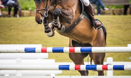 WPS86953-Edit-1 WPS86953-Edit-1