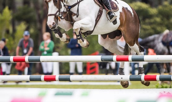 WPS87266-Sophie Hatch and 'Glenara Mudslide' place second in a time of 26.033 secs WPS87266-Sophie Hatch and 'Glenara Mudslide' place second in a time of 26.033 secs