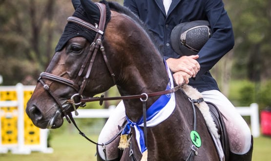 WPS88211-Edit WPS88211-Edit