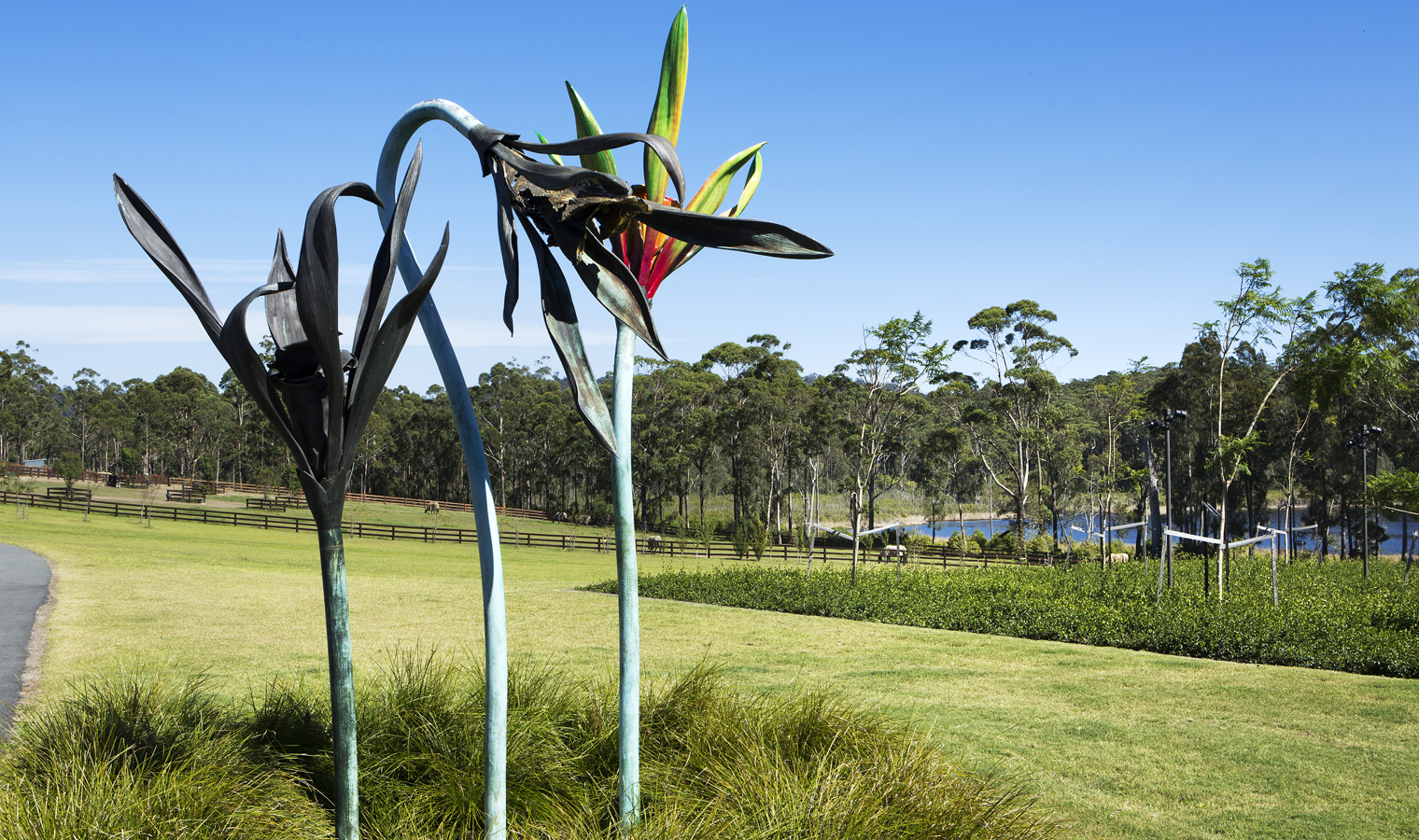 From Hope to Optimism by Andrew Rogers