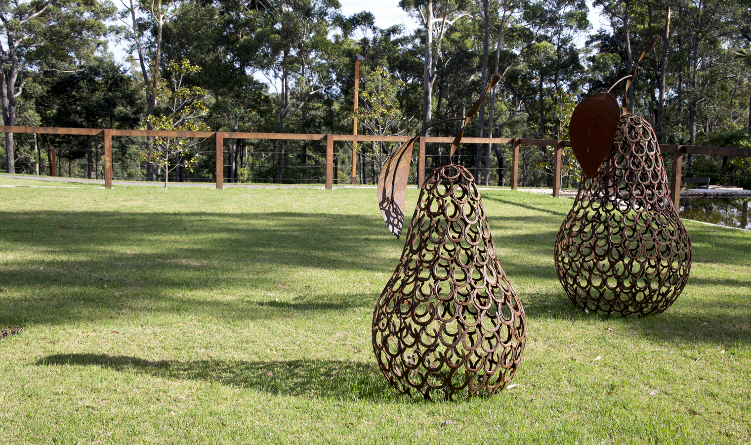 Pears by Melinda Knowles