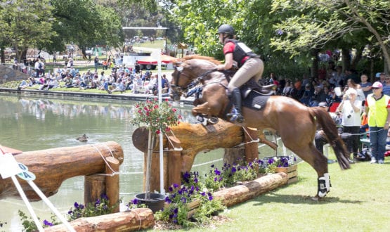 20171118_0174a 20171118_0174a