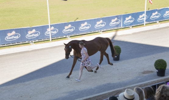 20171119_0021a 20171119_0021a