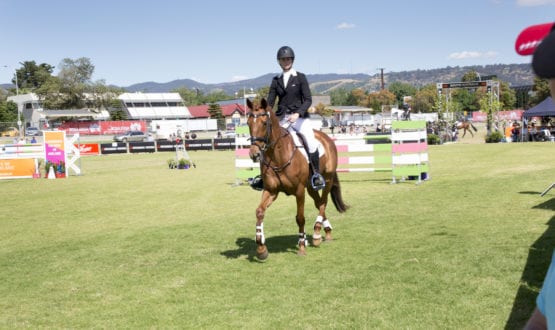 20171119_0072a 20171119_0072a