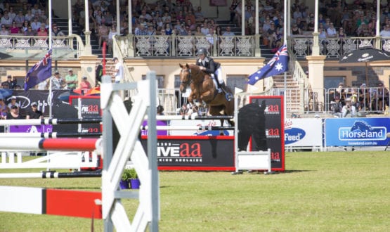 20171119_0085a 20171119_0085a