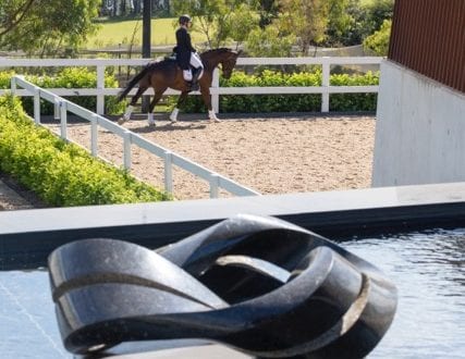 20190222_0065a 20190222_0065a