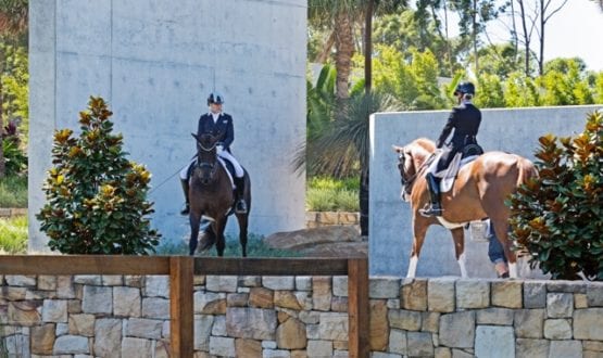 20190222_0153a 20190222_0153a