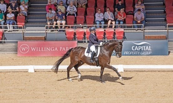 Dressage by the Sea 2019 Dressage by the Sea 2019