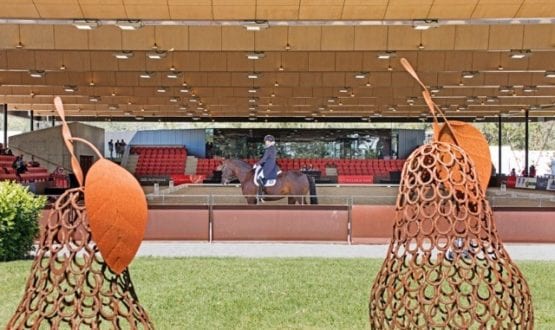 Dressage 6 GS Dressage 6 GS