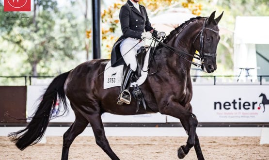 Susan Elekessy and 'Don Rubin' Susan Elekessy and 'Don Rubin'