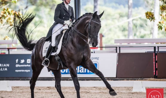 Susan-Elekessy-and-Don-Rubin Susan-Elekessy-and-Don-Rubin