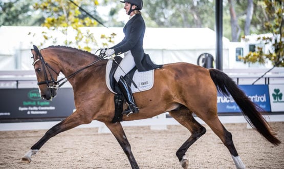 Catherine Chittenden and 'Neversfelde Springbok' Catherine Chittenden and 'Neversfelde Springbok'