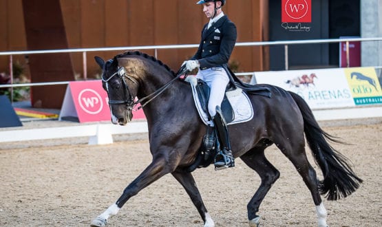 Jayden riding 'DaVinci L' Jayden riding 'DaVinci L'