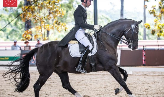 Jayden Brown and 'Davinci L' Jayden Brown and 'Davinci L'