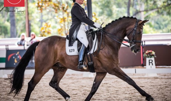 Helen Macaskill and 'F1 Sonny Bill' Helen Macaskill and 'F1 Sonny Bill'