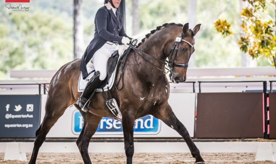 Sarah Farraway and Árawn' Sarah Farraway and Árawn'