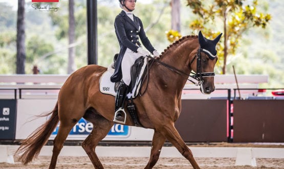 Jazi French Jazi French