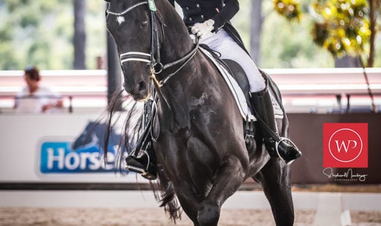 Melinda Hart and 'Richmond H' Melinda Hart and 'Richmond H'