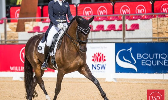 Jenny Gehrke and 'Senator Nymphenburg' Jenny Gehrke and 'Senator Nymphenburg'